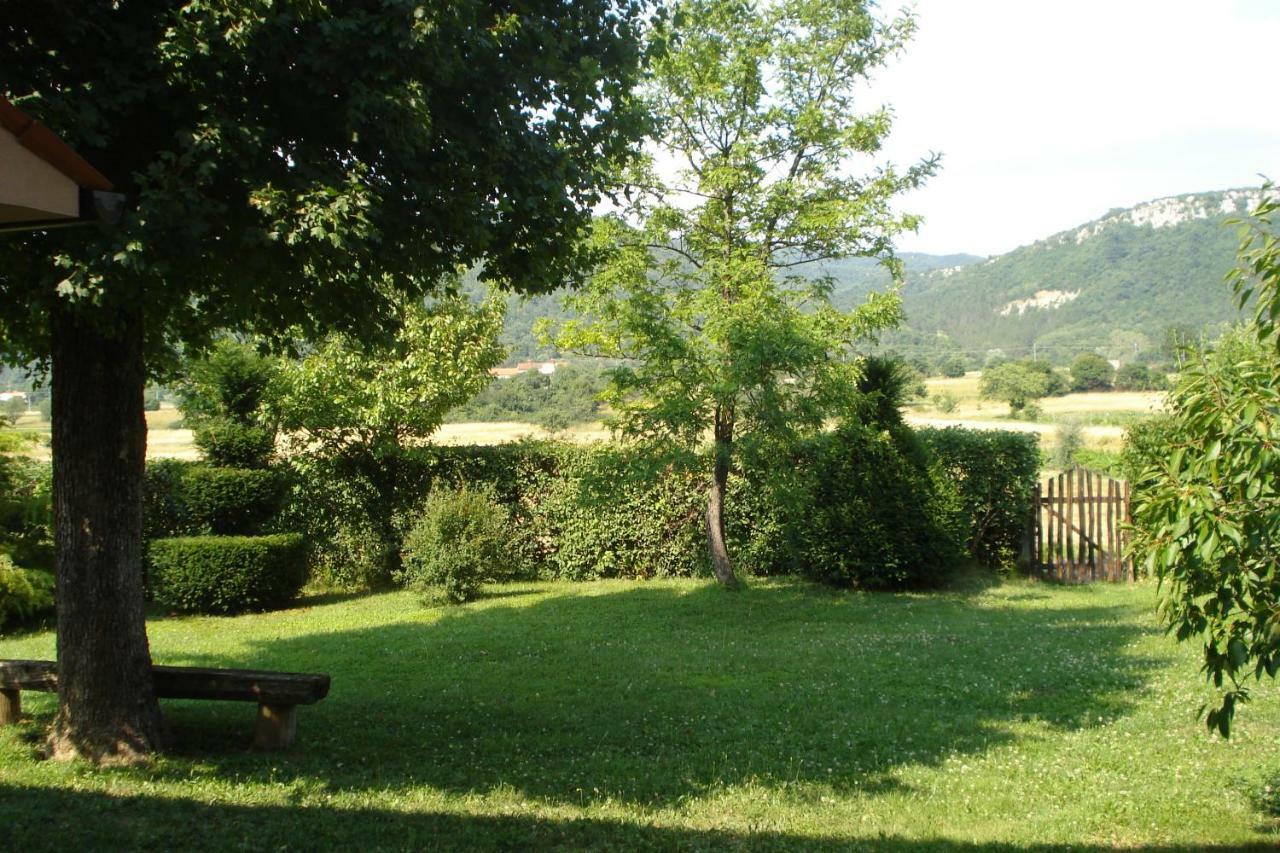 Apartmani Aldo Roč Buitenkant foto