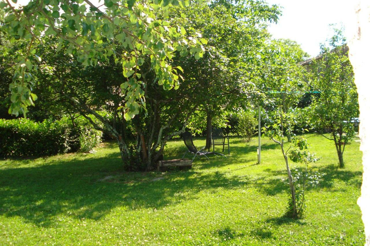 Apartmani Aldo Roč Buitenkant foto