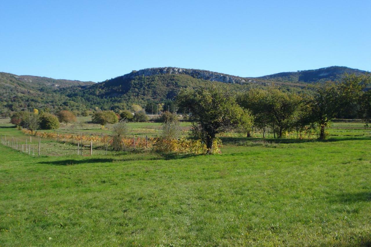 Apartmani Aldo Roč Buitenkant foto